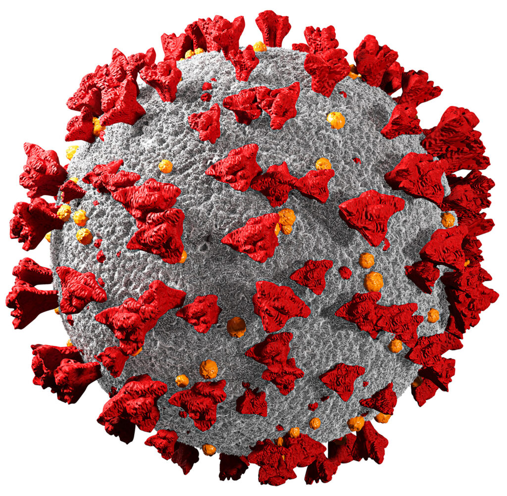 Coronavirus