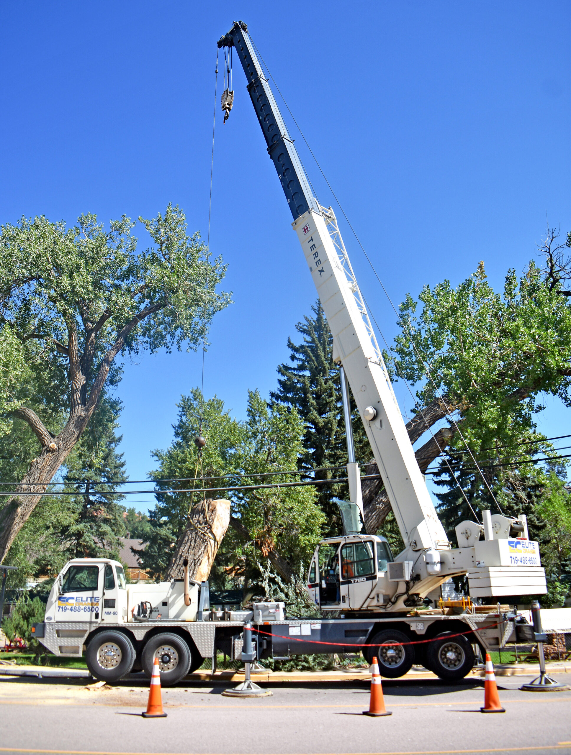 Photo by Rhonda Van Pelt. A crew from Tall Timbers Tree & Shrub Service fells a hazardous cottonwood tree on Tuesday, Aug. 30. Traffic was routed around the site in the 300 block of Manitou Avenue.