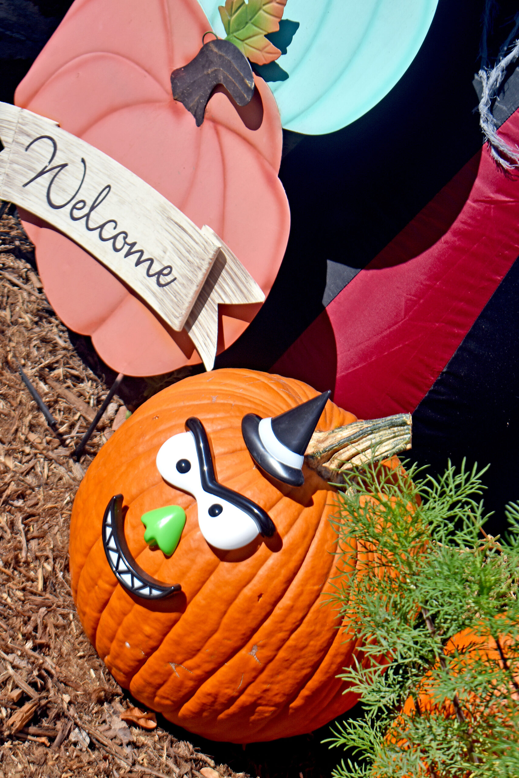 Photo by Rhonda VanPelt. Rocky Mountain Beignets features a fearsomely funny jack-o’-lantern.